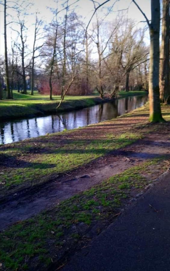 Ruhiges In Pankow Privat bolig Berlin